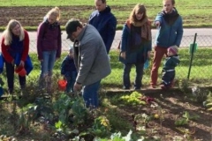 Bild-4