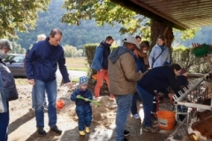 Bild-5