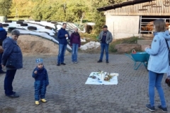 Bild-6